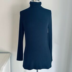 Halogen Rayon Thin Knit Basic Turtleneck Shirt in Black, Medium Petite